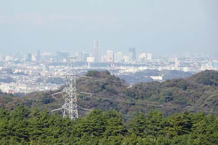 大楠山・ランドマーク周辺のビル群