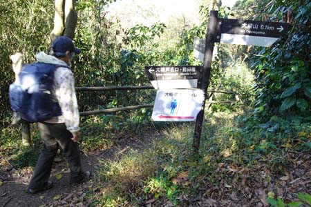 大楠山・階段の途中から湘南国際村への道