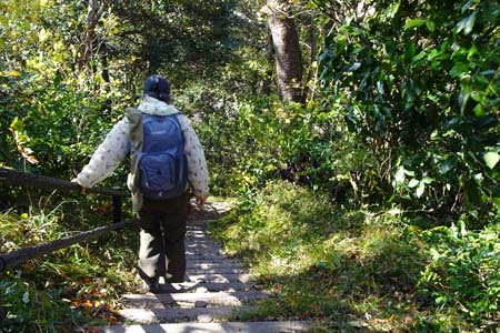 大楠山・長い階段の道を下って