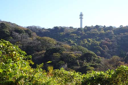 大楠山・振り返ると雨量レーダー塔