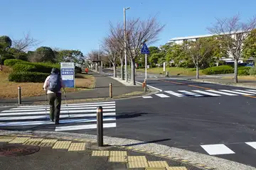 湘南国際村