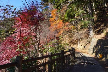 上高岩山・紅葉に包まれるハイキングコース