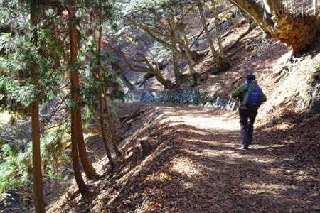 上高岩山・落ち葉に包まれた登山道