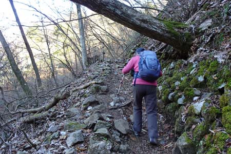 上高岩山・山肌を登って行きます