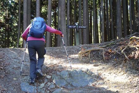 上高岩山・芥場峠