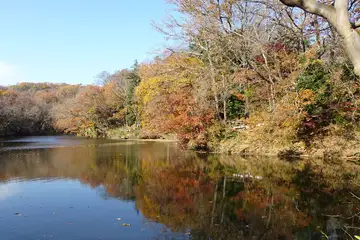 震生湖の紅葉