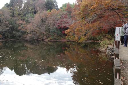渋沢丘陵・震生湖の紅葉