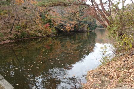 渋沢丘陵・震生湖の紅葉
