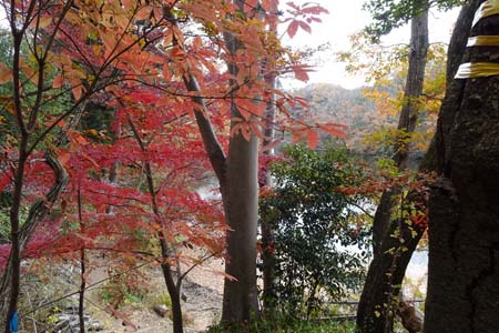 渋沢丘陵・福寿弁財天の前には真っ赤なもみじ
