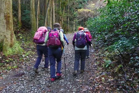 小仏城山から高尾山・登山口から山道が始まります