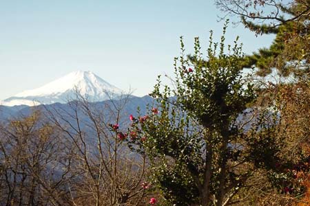 小仏城山から高尾山・青空の下に雪を被った富士山