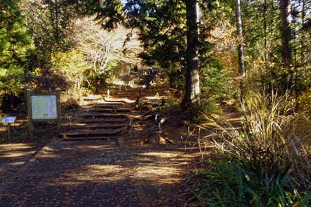 小仏城山から高尾山・もみじ台は巻き道で富士見平休憩所へ