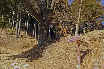 クロモ岩の分岐