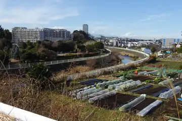 恩田川