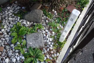相模基線南端