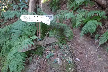 白赤稲荷の分岐