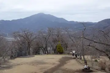 権現山から眺める大山
