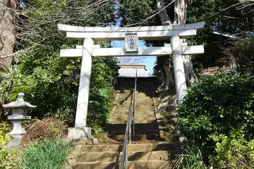 小金神社の石鳥居