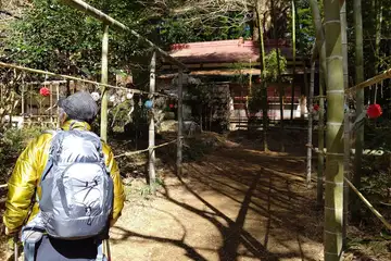 竹寺の竹の道