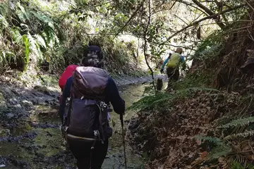 中沢は浅い沢床