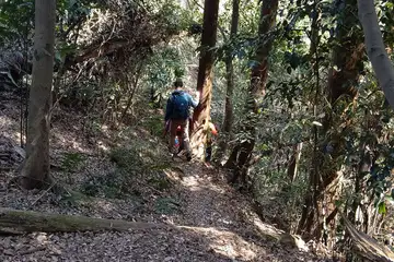 乳頭山から畠山への道
