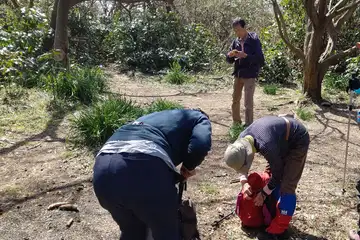 畠山の山頂