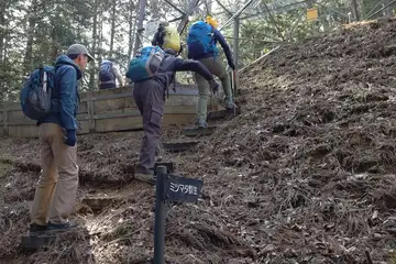 ミツマタの群生地