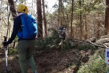 尾崎山への分岐