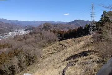 千本桜植栽地