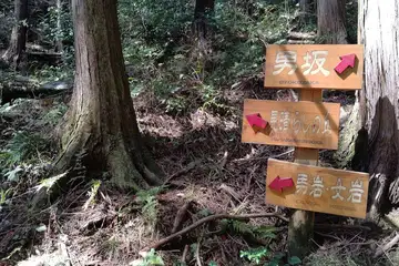 見晴らしの丘コース