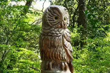 フクロウの休憩所
