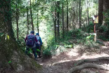 老人ホームへの分岐
