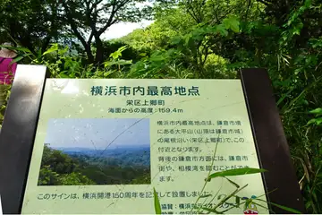 横浜最高点