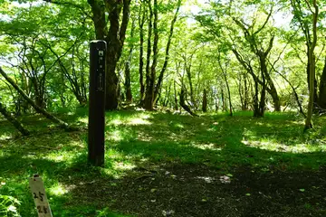 畑尾山の山頂