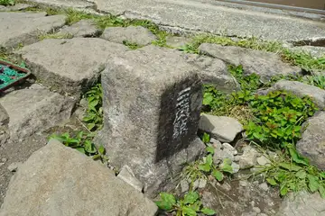 金太郎茶屋に三角点