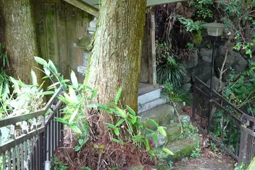 おかみ神神社