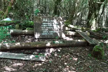 屏風山の山頂