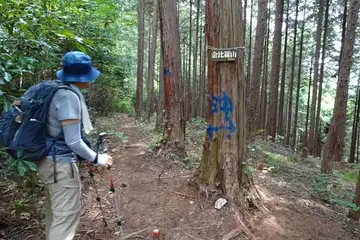 金比羅山の山頂