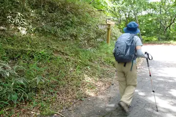 ハンゼノ頭への分岐