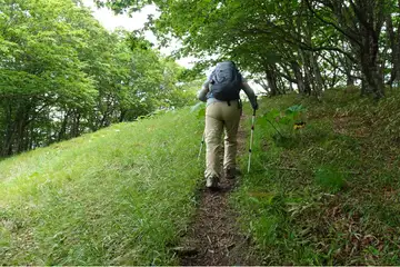 藤谷ノ頭