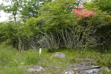登山道に4等三角点