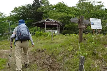レンゲツツジの群生地