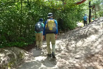 ザレた稜線を登って行きます