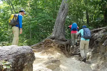 白ザレの登山道