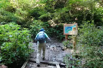 大山橋