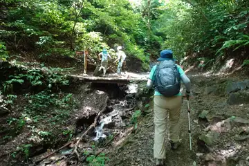 稲荷山コースの連絡路