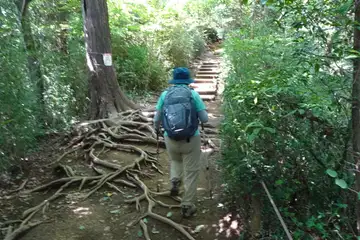 稲荷山コース