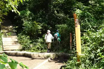 山頂直下の５号路