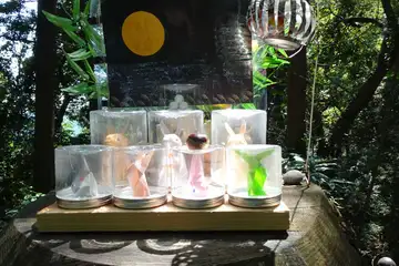 切り株神社