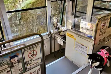 御岳山ケーブルカーにはペット